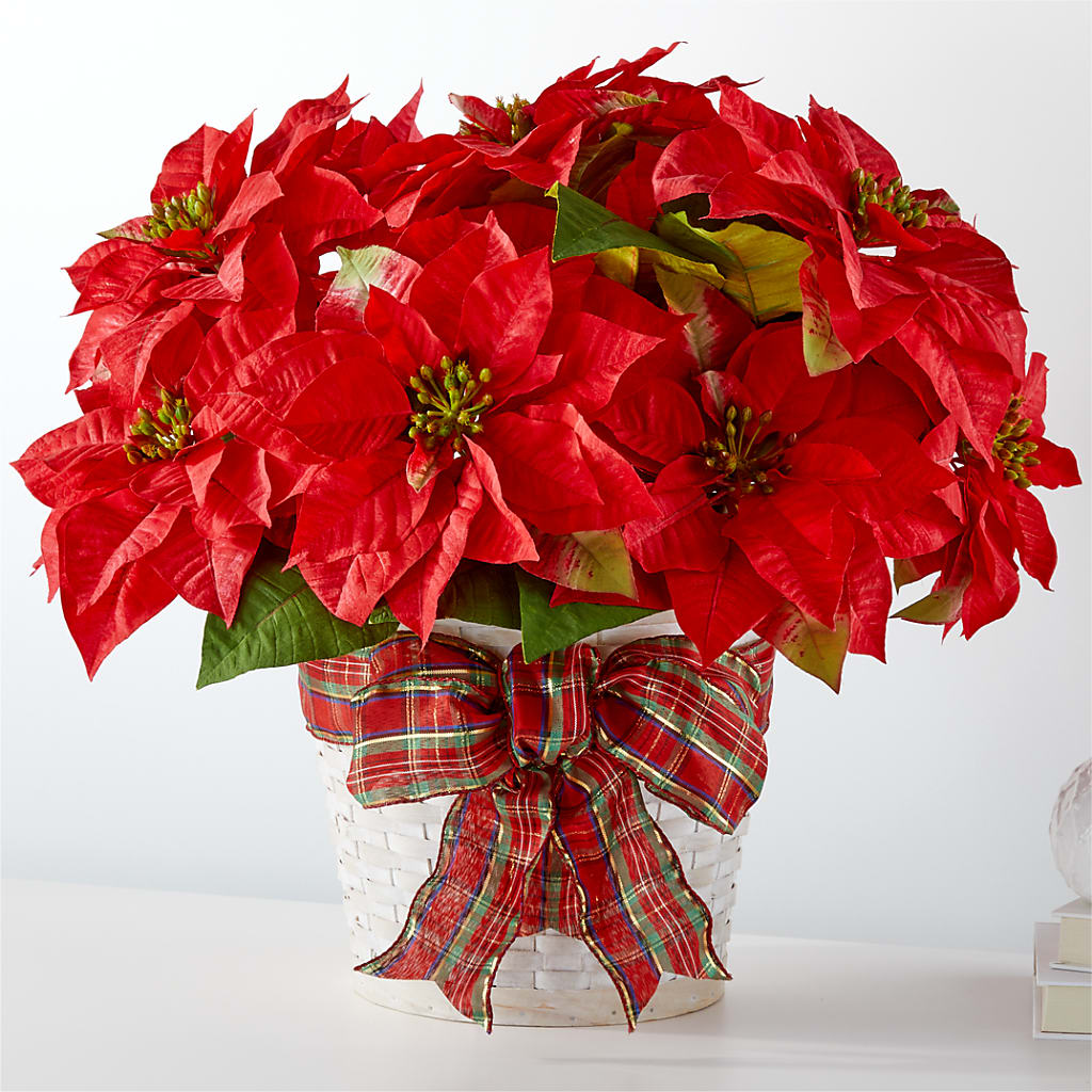 Happiest Holidays Poinsettia – Watsons Florist, Sullivan MO