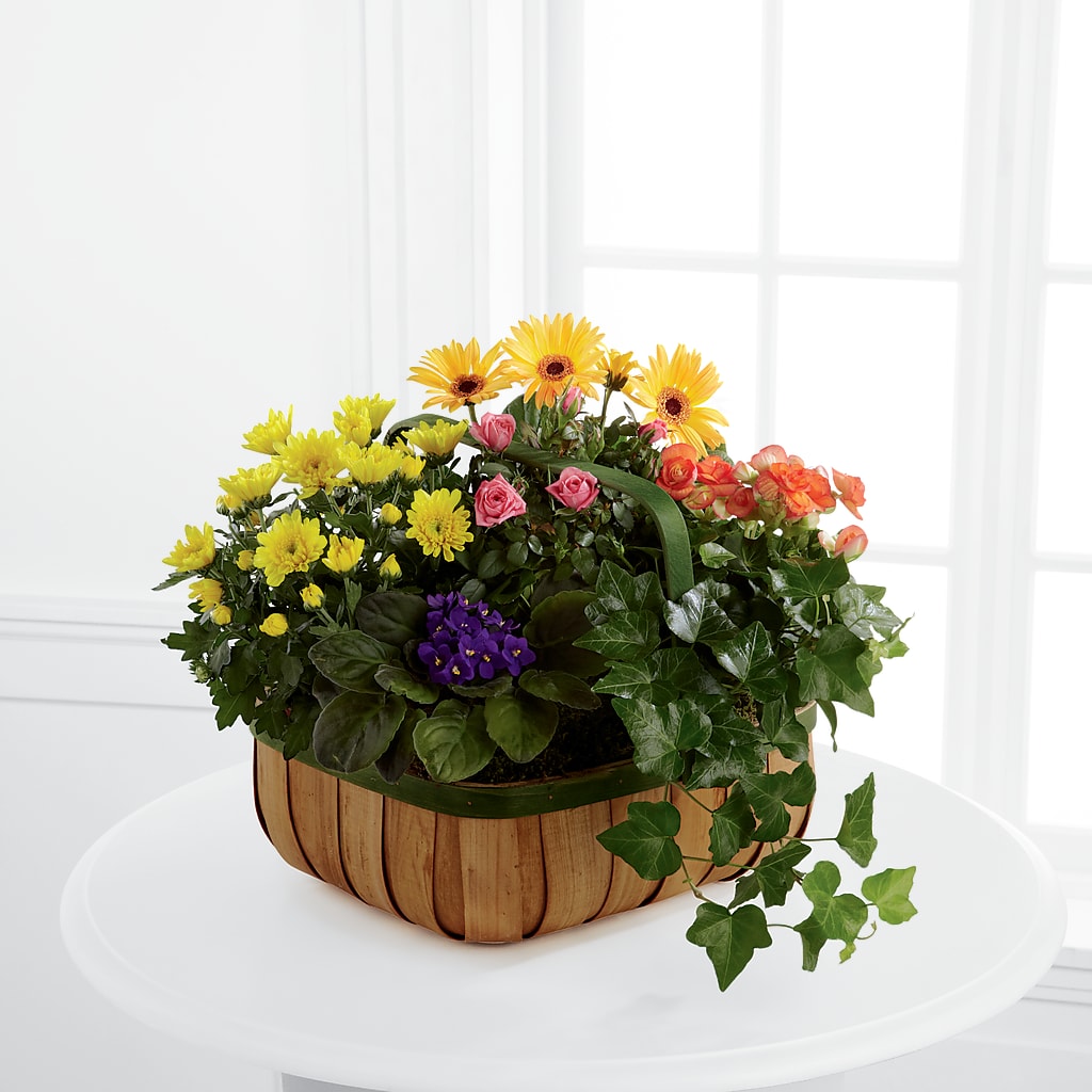 Gentle Blossoms Basket – Watsons Florist, Sullivan MO