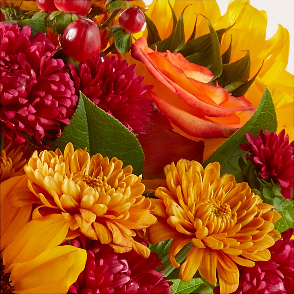 Sweater Season - A Florist Original – Watsons Florist, Sullivan MO
