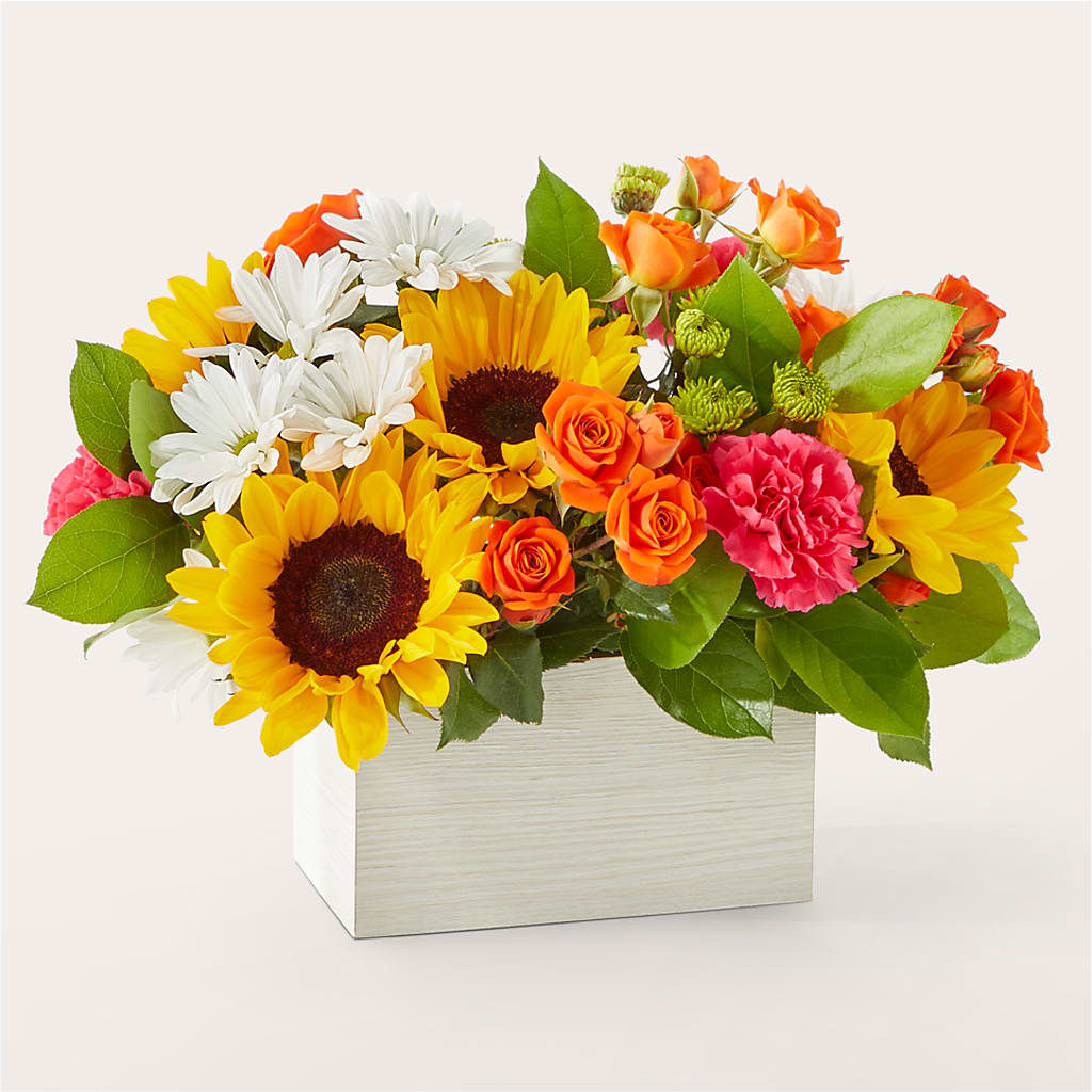 Sun-drenched Blooms Box Bouquet – Watsons Florist, Sullivan MO