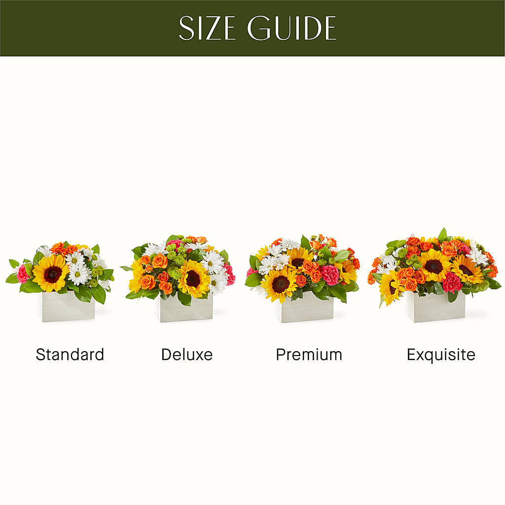 Sun-drenched Blooms Box Bouquet – Watsons Florist, Sullivan MO