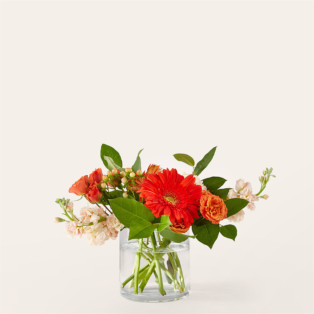 Paloma Please Bouquet – Watsons Florist, Sullivan MO