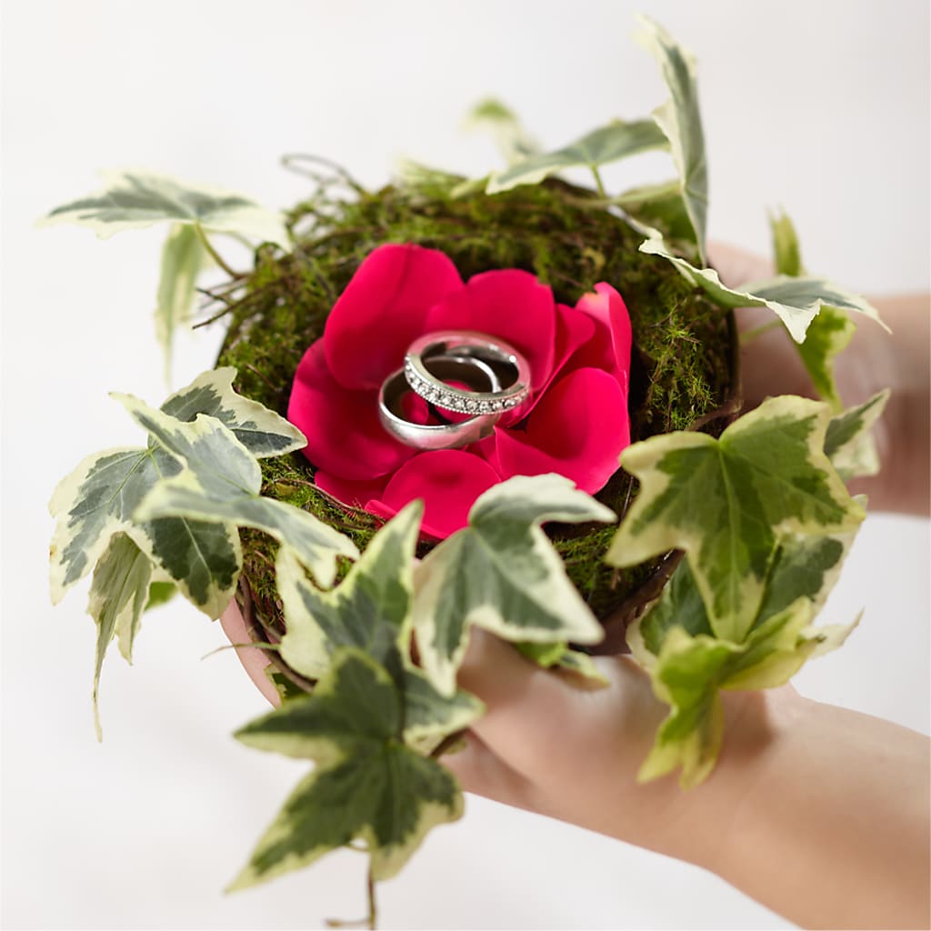Lila Rose Ring Nest – Watsons Florist, Sullivan MO