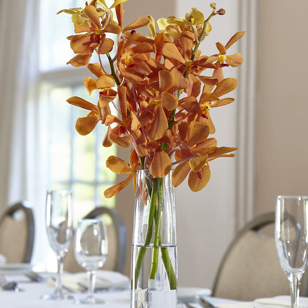 Orange Mokara Bud Vase – Watsons Florist, Sullivan MO