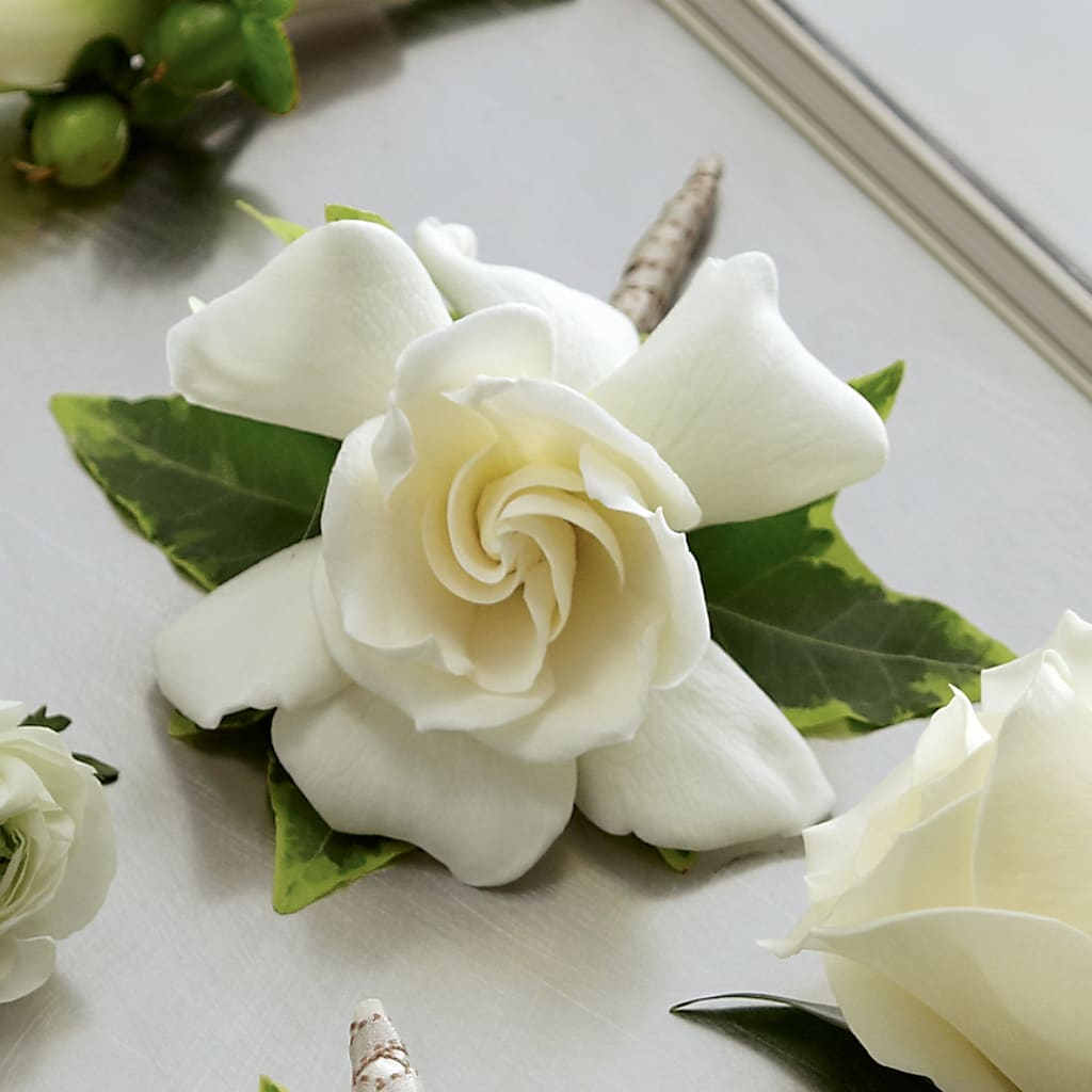 Gardenia Boutonniere – Watsons Florist, Sullivan MO