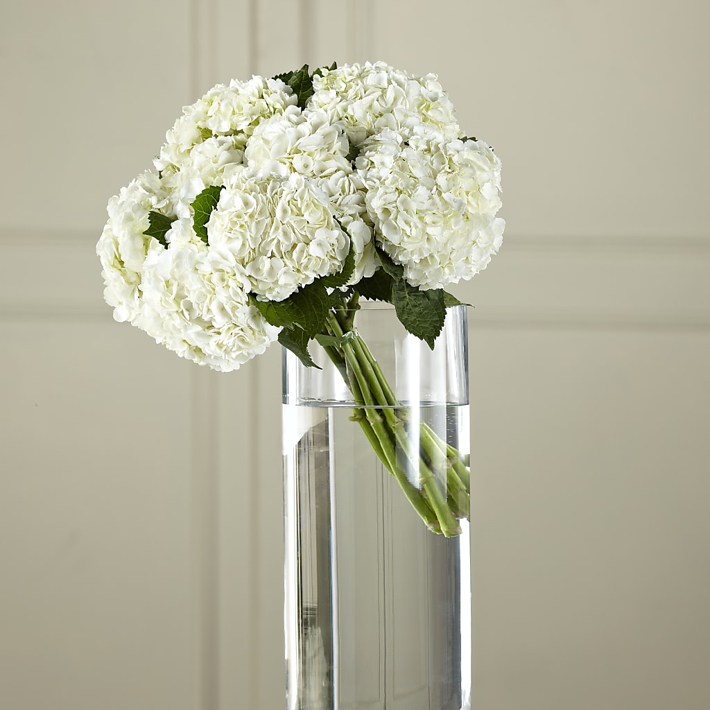 White Hydrangea Hand-Tied Bouquet – Watsons Florist, Sullivan MO