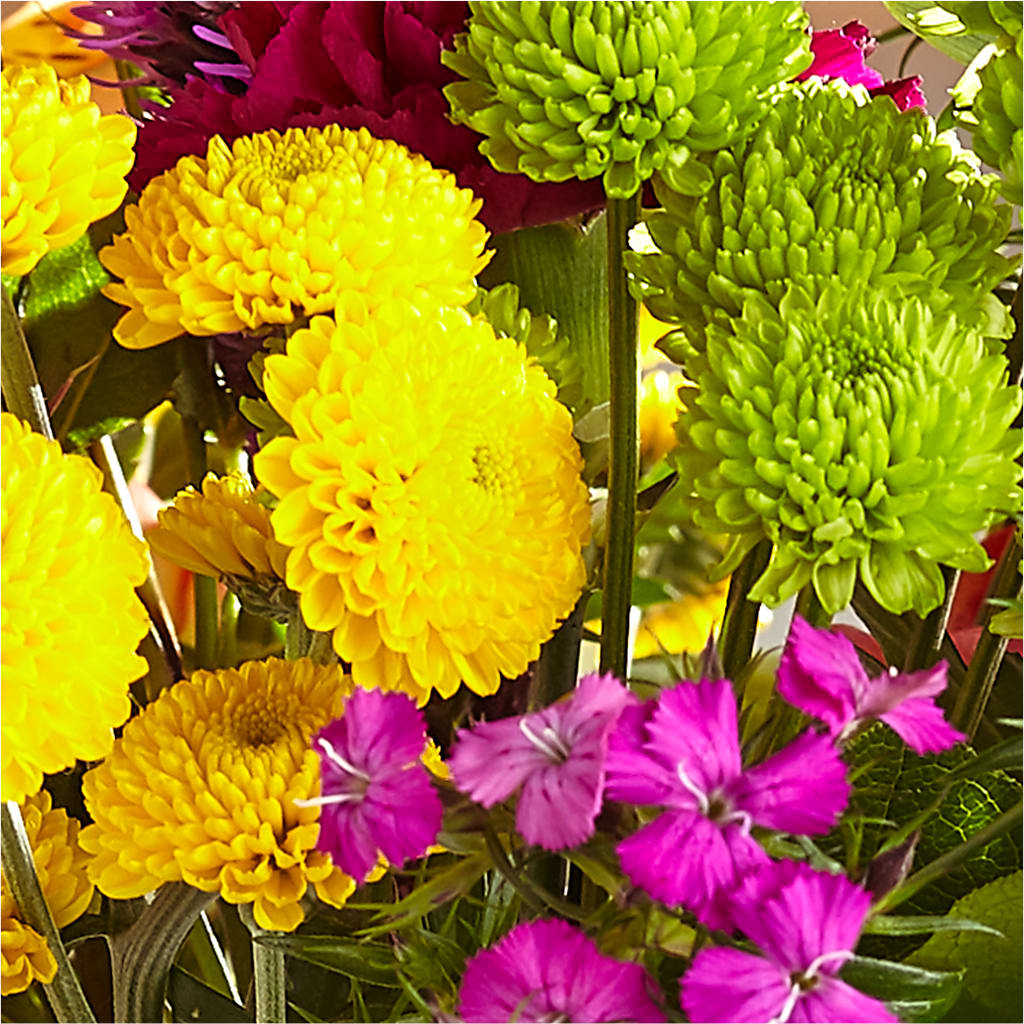 Bold & Bright – A Florist Original –  Watsons Florist, Sullivan MO