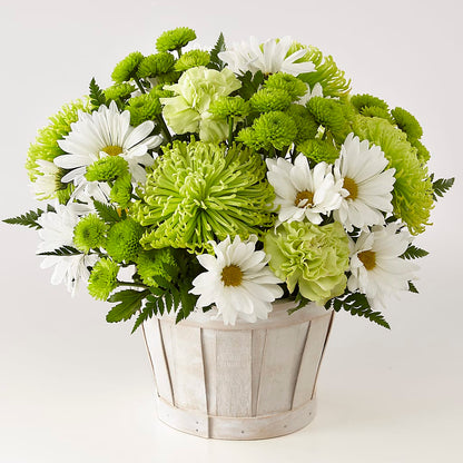 Lucky Charm Basket (Standard) –  Watsons Florist, Sullivan MO