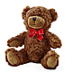 Adorable Plush Bear –  Watsons Florist, Sullivan MO