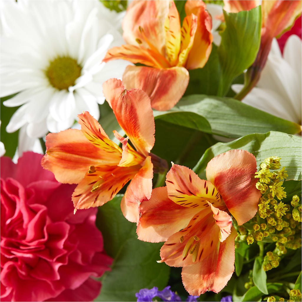 Oopsie Daisy Box Bouquet –  Watsons Florist, Sullivan MO