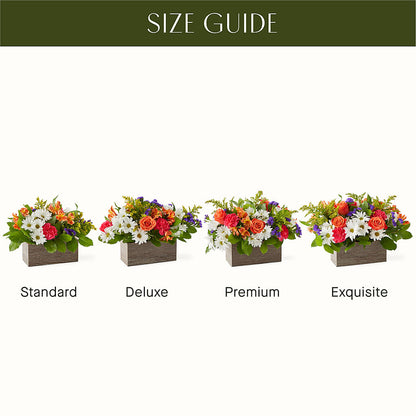 Oopsie Daisy Box Bouquet –  Watsons Florist, Sullivan MO