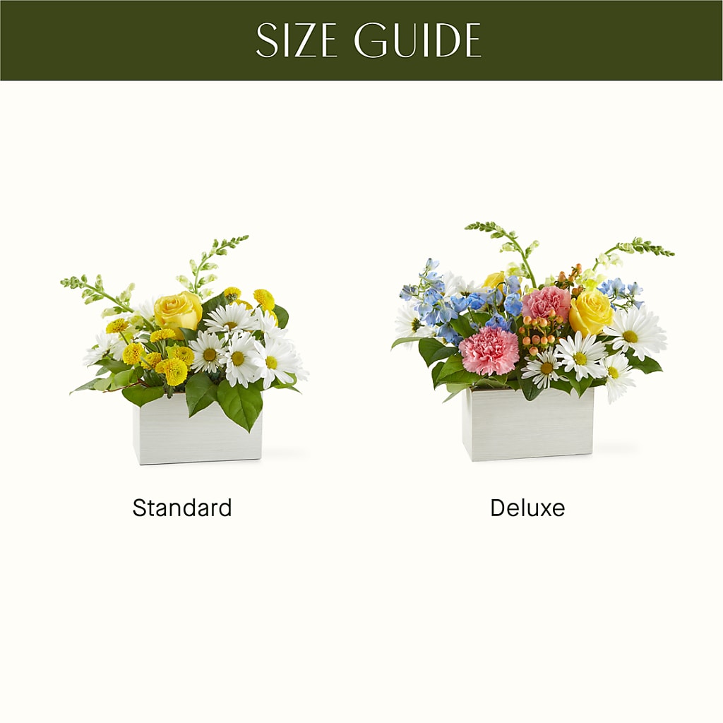 Sun Salutation Box Bouquet –  Watsons Florist, Sullivan MO