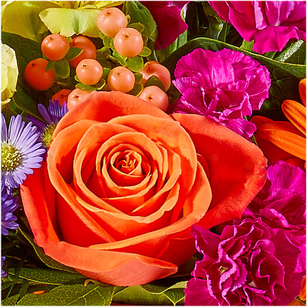 Tricks & Treats Pumpkin –  Watsons Florist, Sullivan MO
