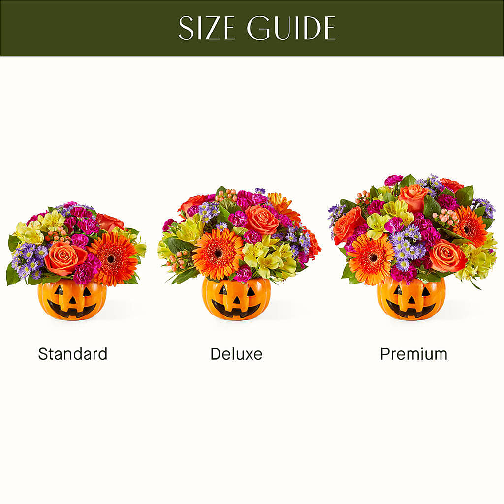 Tricks & Treats Pumpkin –  Watsons Florist, Sullivan MO