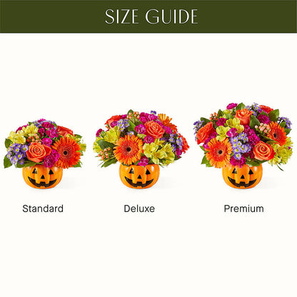 Tricks & Treats Pumpkin –  Watsons Florist, Sullivan MO