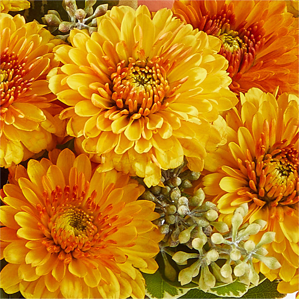 Peachy Pumpkin –  Watsons Florist, Sullivan MO
