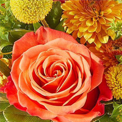 Gourdgeous Pumpkin –  Watsons Florist, Sullivan MO