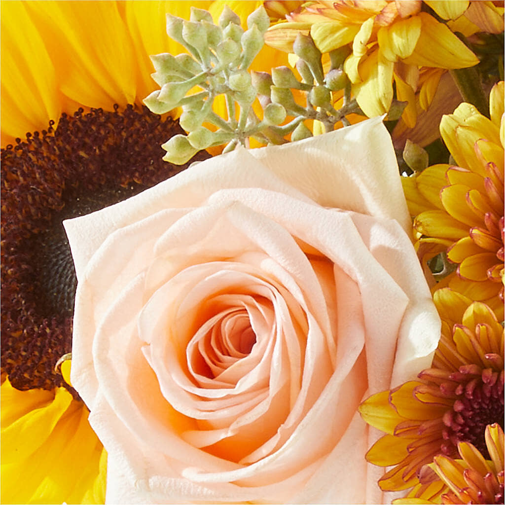 Pumpkin to Talk About Bouquet –  Watsons Florist, Sullivan MO