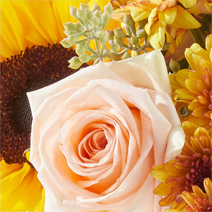 Pumpkin to Talk About Bouquet –  Watsons Florist, Sullivan MO