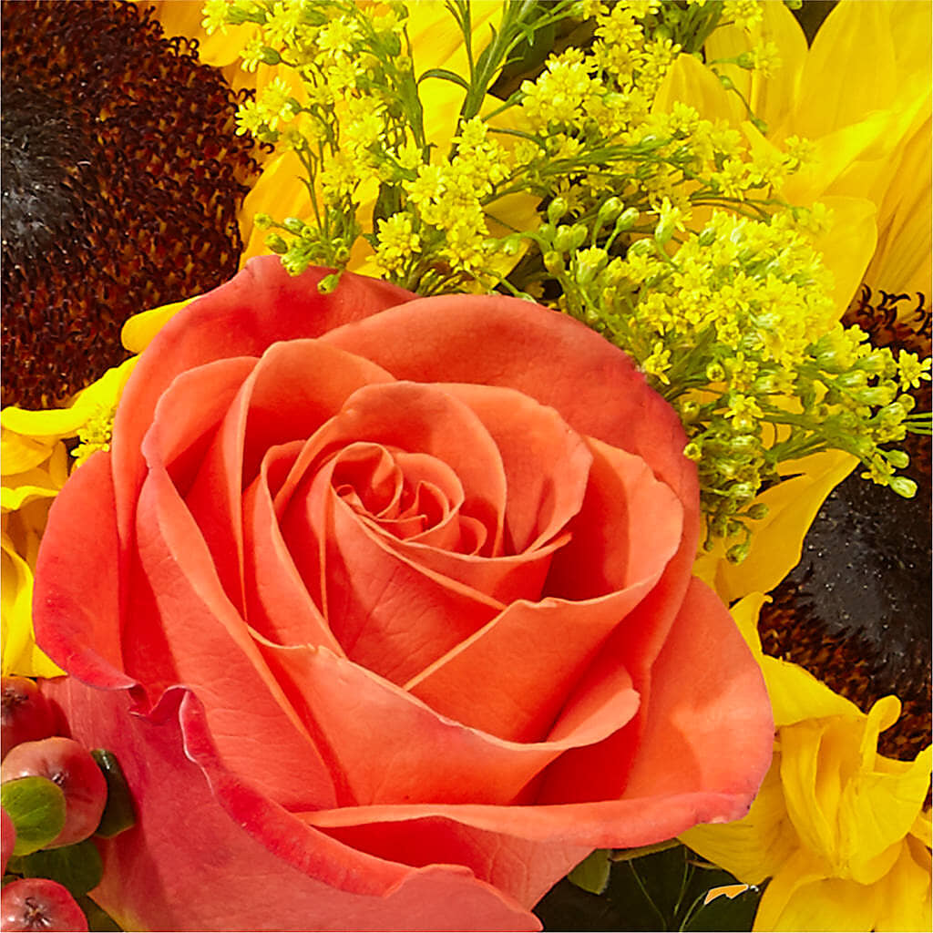 Pick of the Patch Pumpkin Bouquet –  Watsons Florist, Sullivan MO