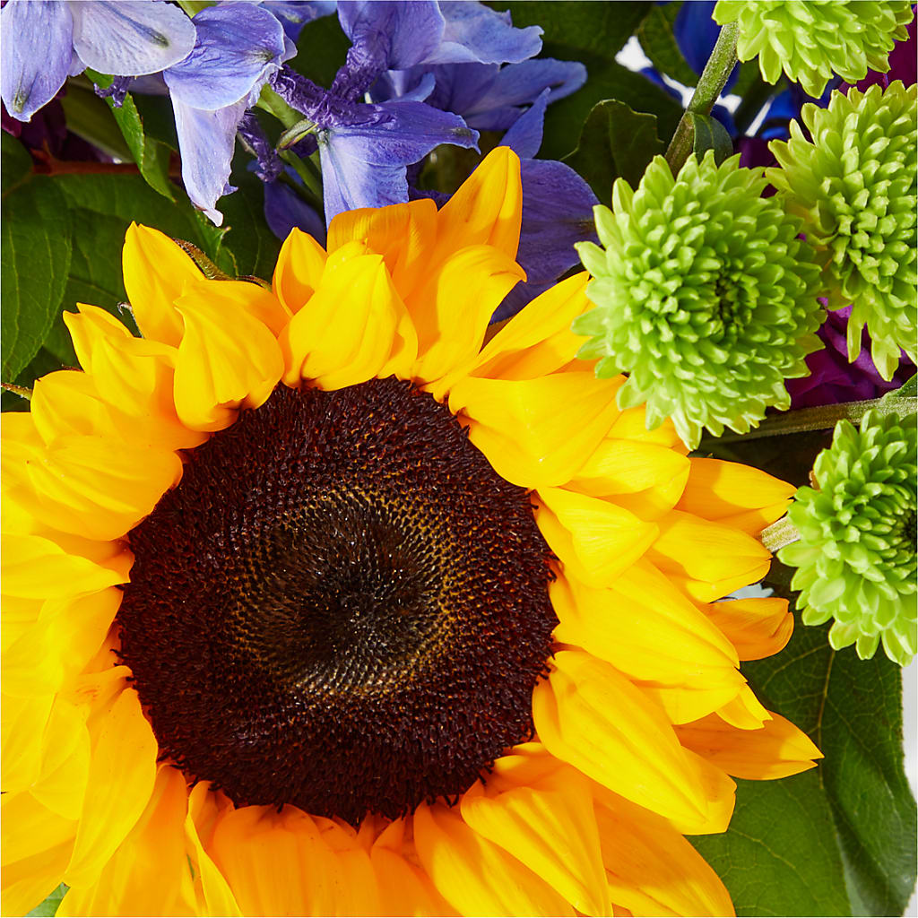 Catching Rays Bouquet –  Watsons Florist, Sullivan MO