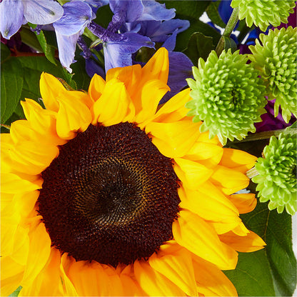 Catching Rays Bouquet –  Watsons Florist, Sullivan MO