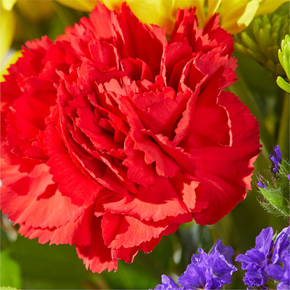 Brighter Days Bouquet –  Watsons Florist, Sullivan MO