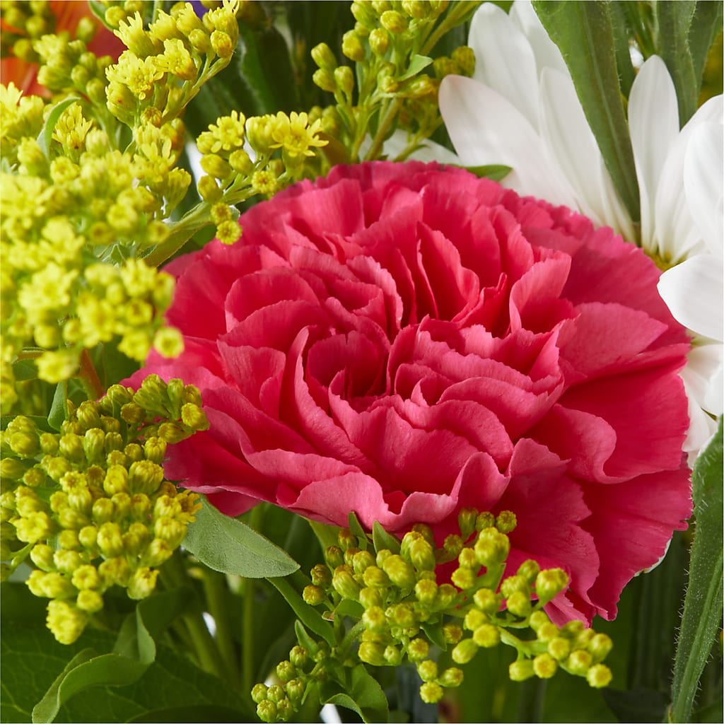 Oopsie Daisy Bouquet –  Watsons Florist, Sullivan MO