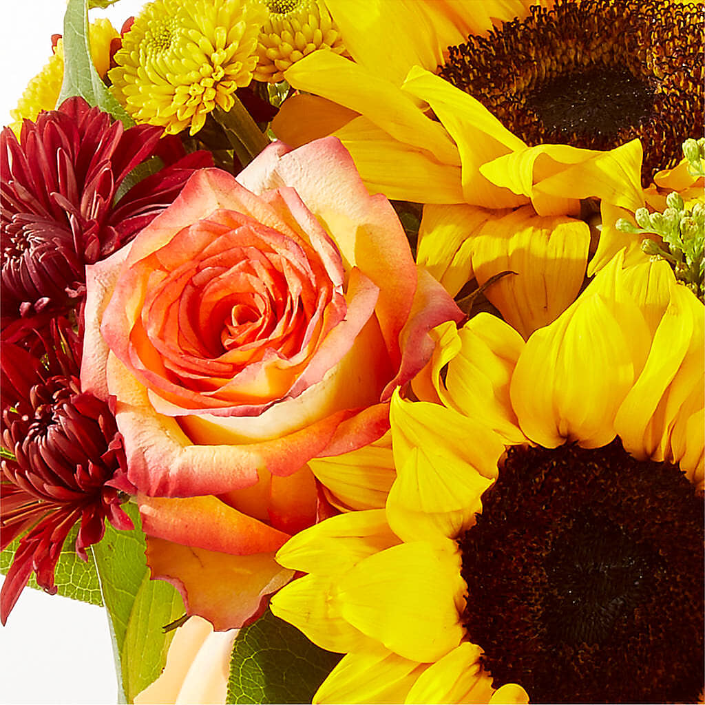 Golden Gourd Pumpkin Bouquet –  Watsons Florist, Sullivan MO