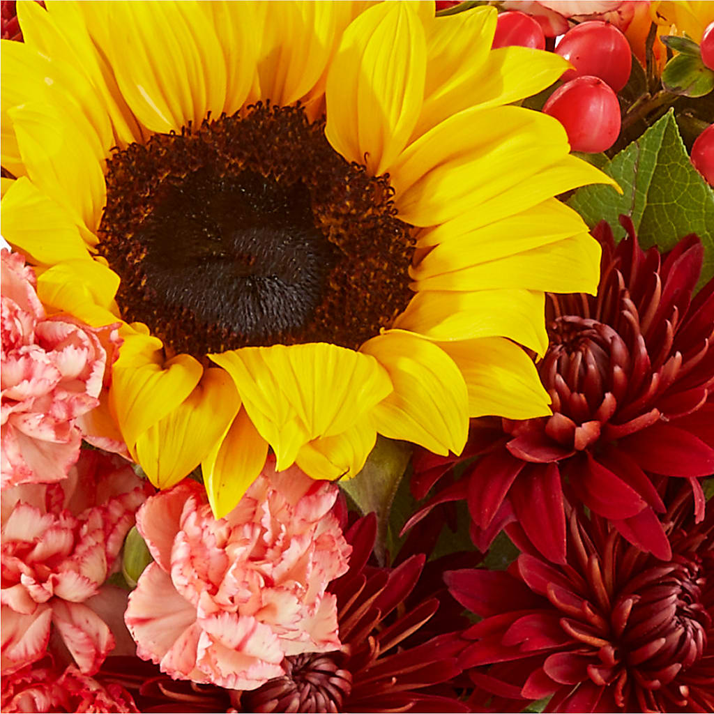Fresh Cider Bouquet –  Watsons Florist, Sullivan MO