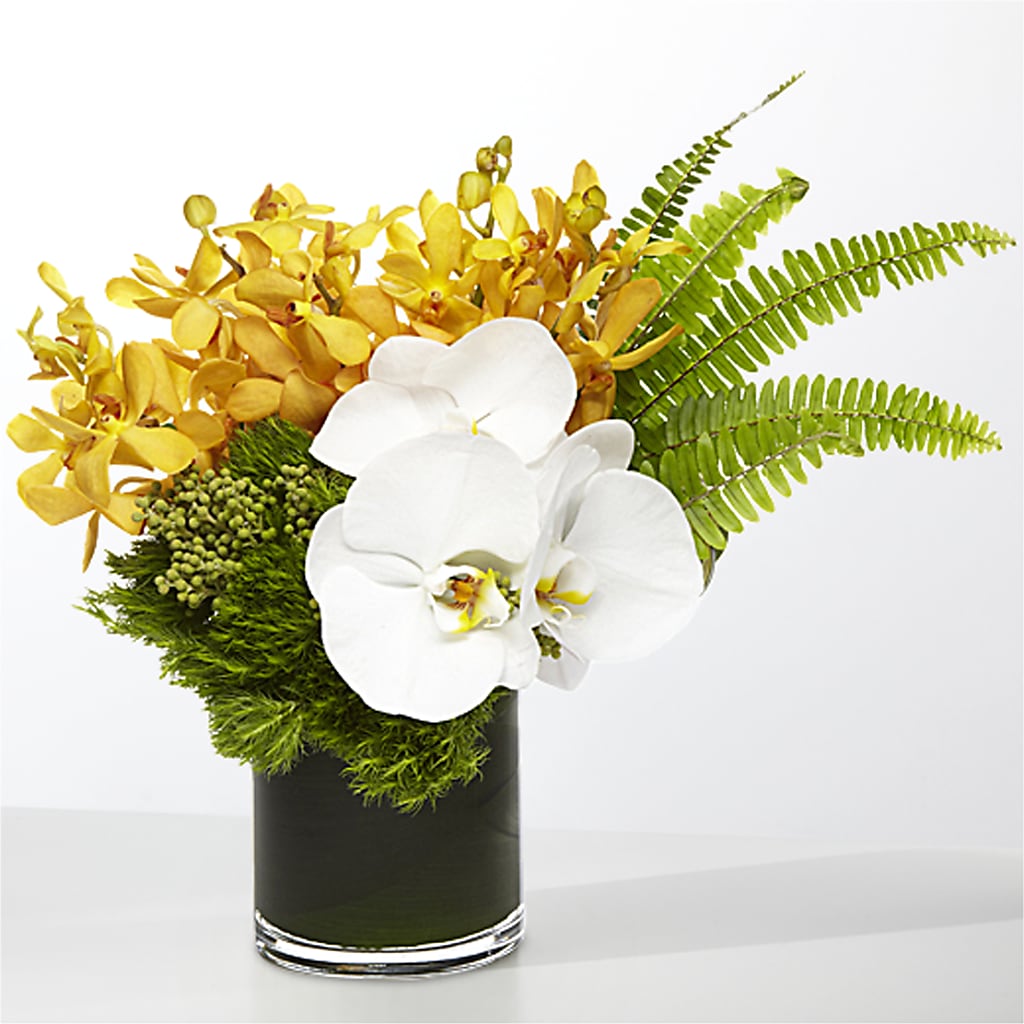 The Tropics –  Watsons Florist, Sullivan MO