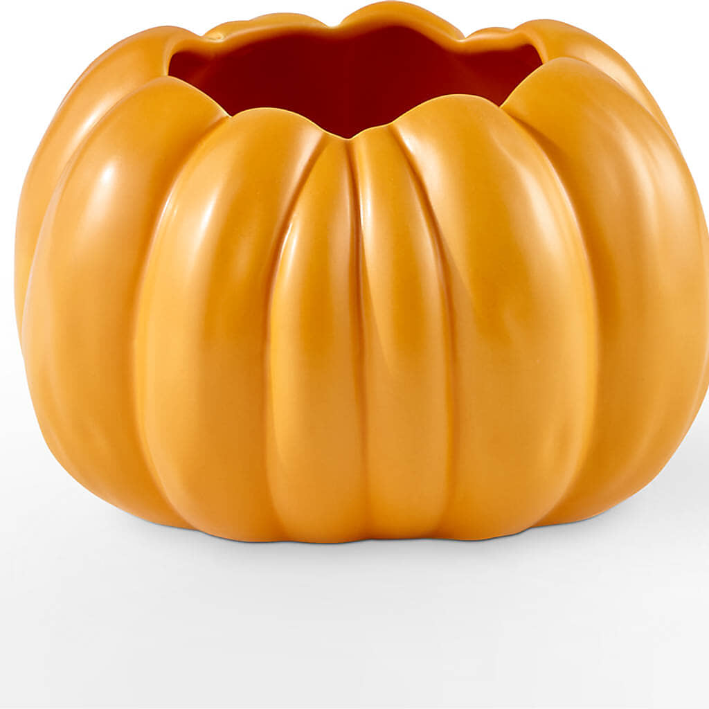 Pick of the Patch Pumpkin Bouquet –  Watsons Florist, Sullivan MO