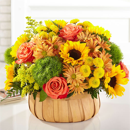 Harvest Sunflower Basket –  Watsons Florist, Sullivan MO