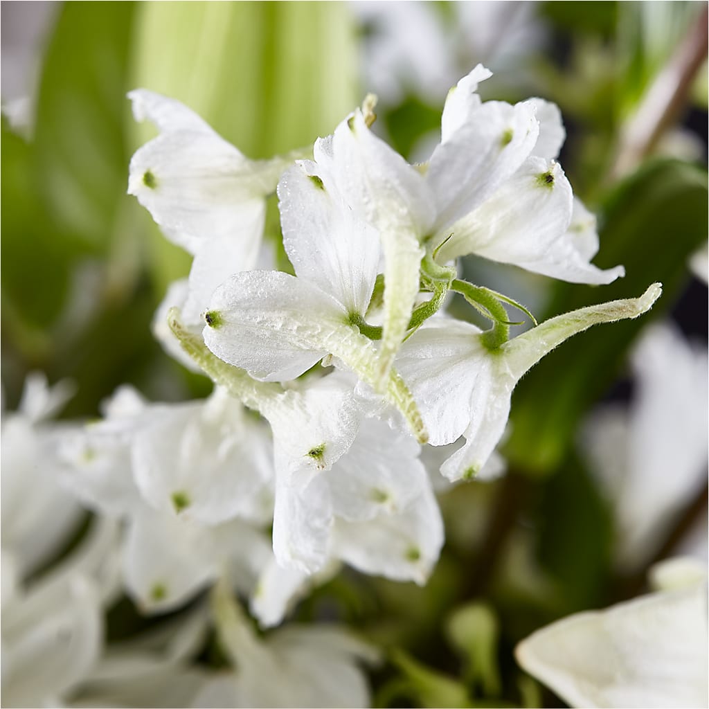 Classic Ivory – A Florist Original –  Watsons Florist, Sullivan MO