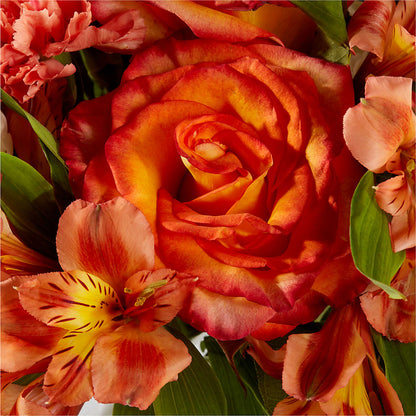 Apricot Glow Bouquet –  Watsons Florist, Sullivan MO
