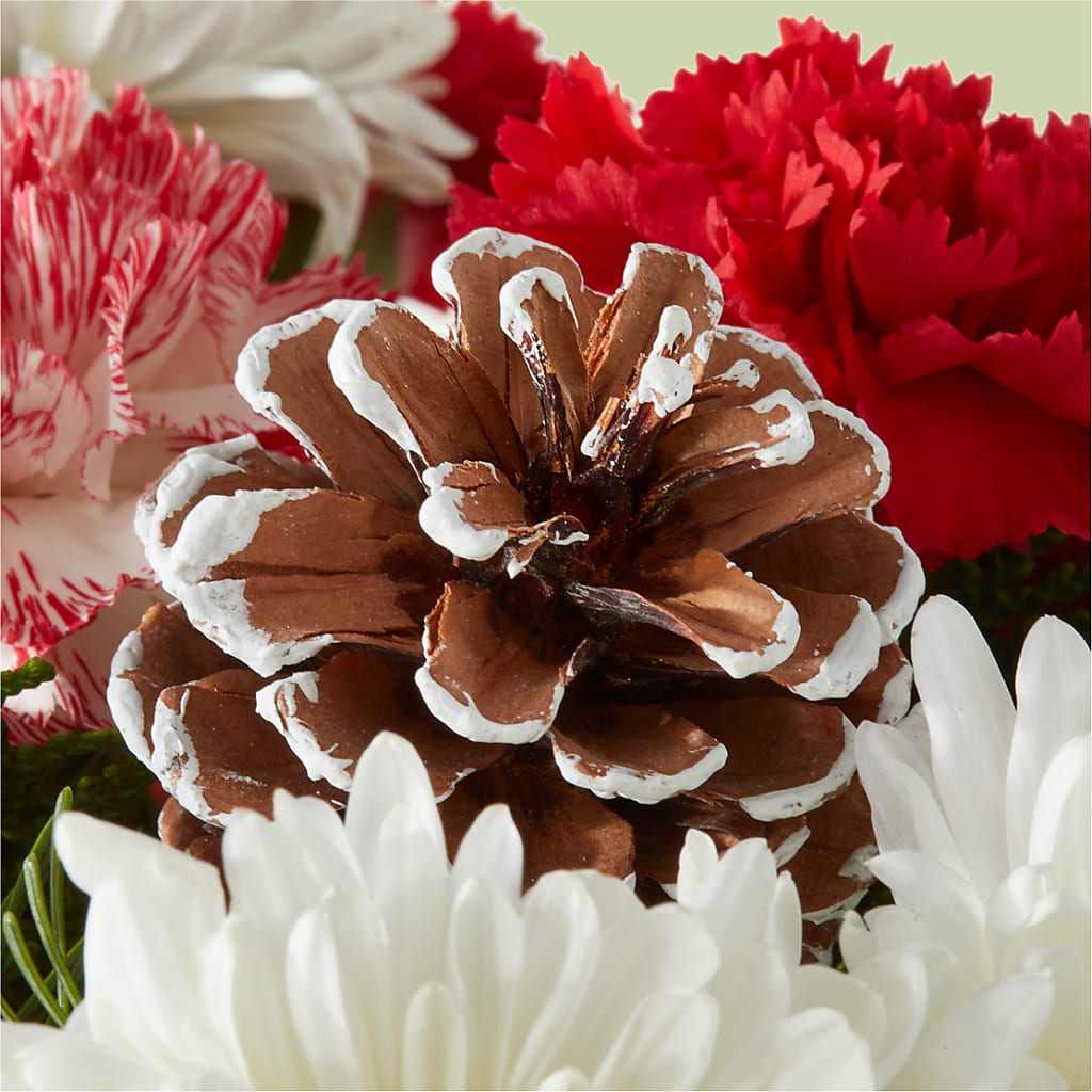 Candy Cane Lane Bouquet –  Watsons Florist, Sullivan MO