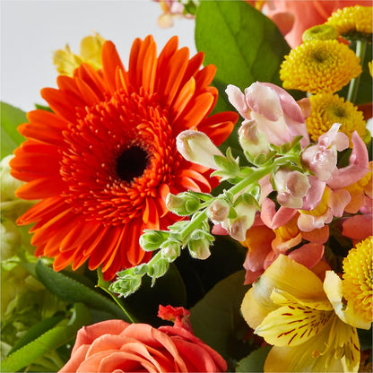 Autumn Sunshine Bouquet –  Watsons Florist, Sullivan MO