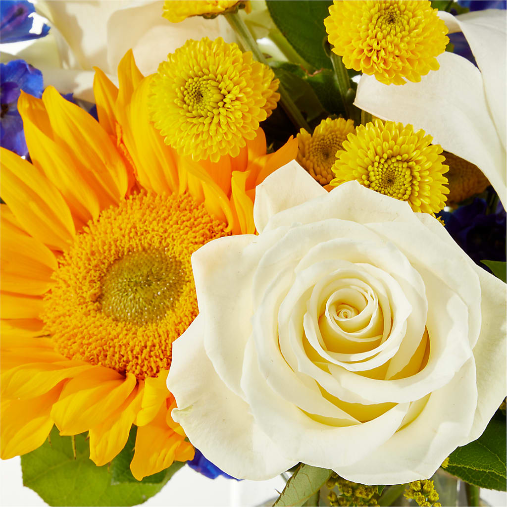 Stargazing Bouquet –  Watsons Florist, Sullivan MO