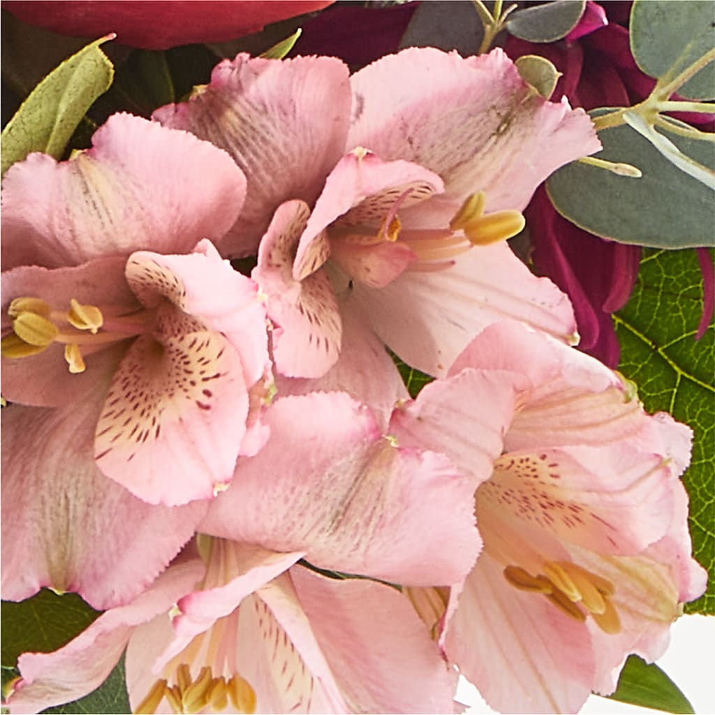 Berry Cobbler Bouquet –  Watsons Florist, Sullivan MO