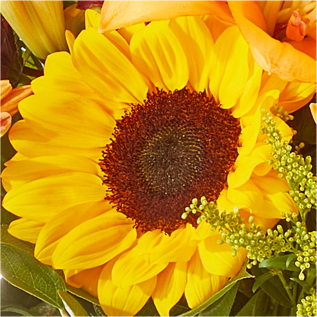 Seasons Change Bouquet –  Watsons Florist, Sullivan MO