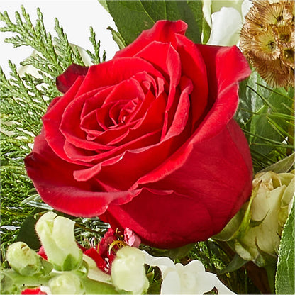 Deck the Halls Bouquet –  Watsons Florist, Sullivan MO