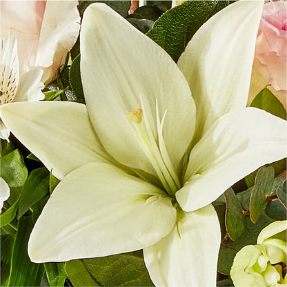 Ballet Slippers Bouquet –  Watsons Florist, Sullivan MO