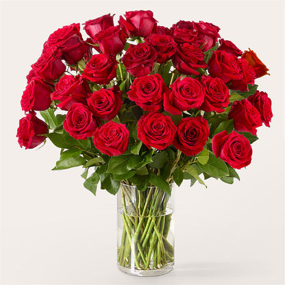 The One Red Rose Bouquet –  Watsons Florist, Sullivan MO