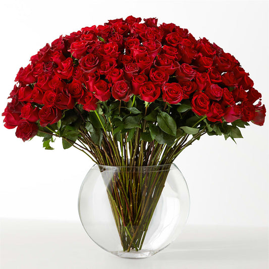 The Idealist –  Watsons Florist, Sullivan MO