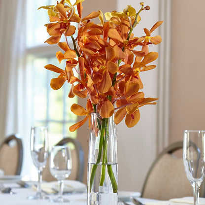 Orange Mokara Bud Vase –  Watsons Florist, Sullivan MO