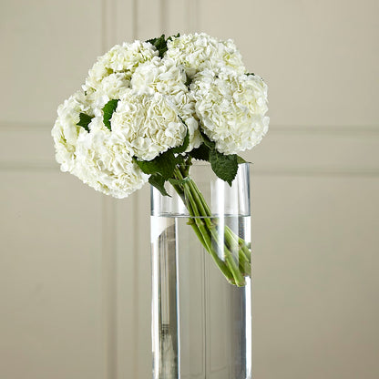 White Hydrangea Hand-Tied Bouquet –  Watsons Florist, Sullivan MO