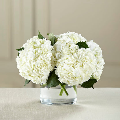 White Hydrangea Bouquet –  Watsons Florist, Sullivan MO